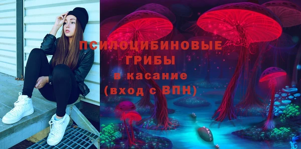 твердый Алзамай